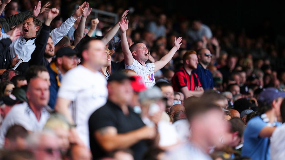 Fulham's Recent Everton Defeat: What Went Wrong in the 1-2 Loss?